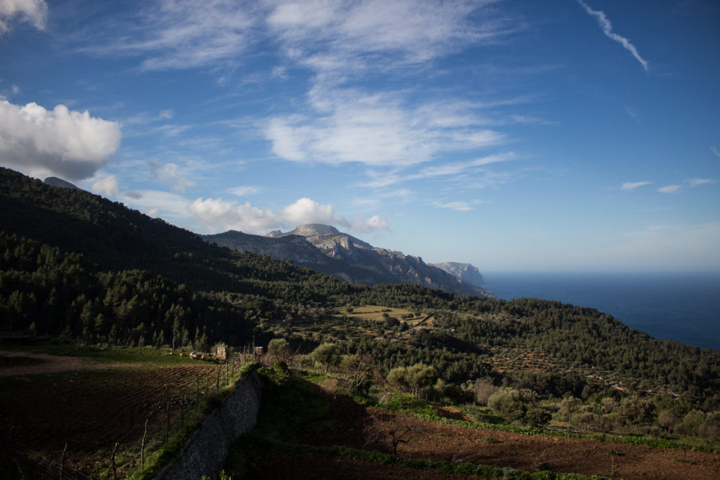 Aussicht von der Finca Planicia. Mittig im Bild der Mola de s'Esclop