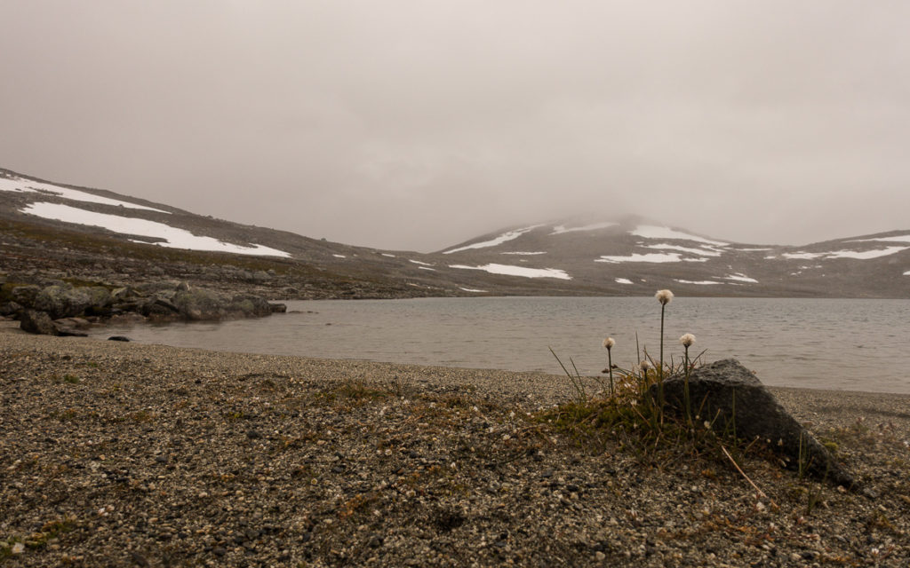 Kjorisvatnet Nordkalottleden